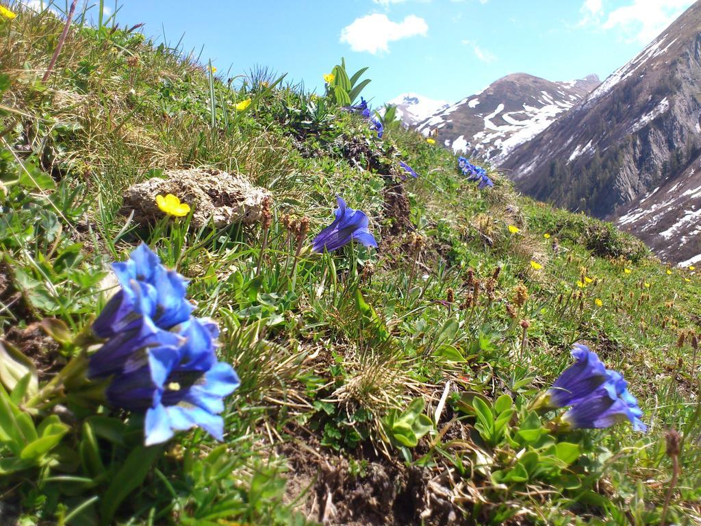 Ferienwohnungen Bailom Elbigenalp Extérieur photo